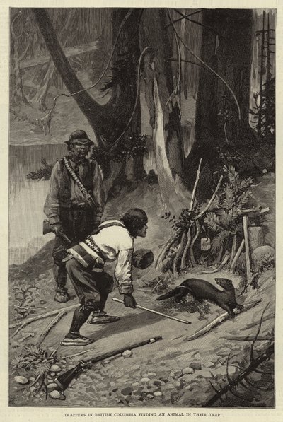 Vallenstellers in Brits-Columbia vinden een dier in hun val door Charles Edwin Fripp